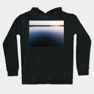 Bird's eye view of a grebe bird on Sajno lake Hoodie